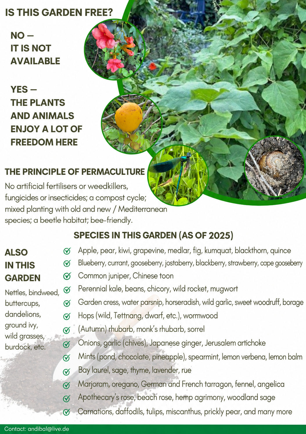 Permaculture in the garden